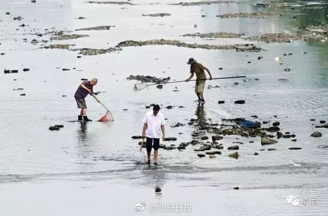 团建主持人开场白