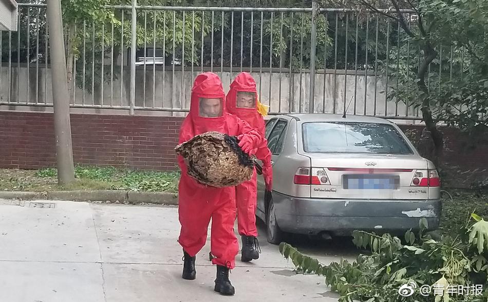 沙漠化的原因是什么