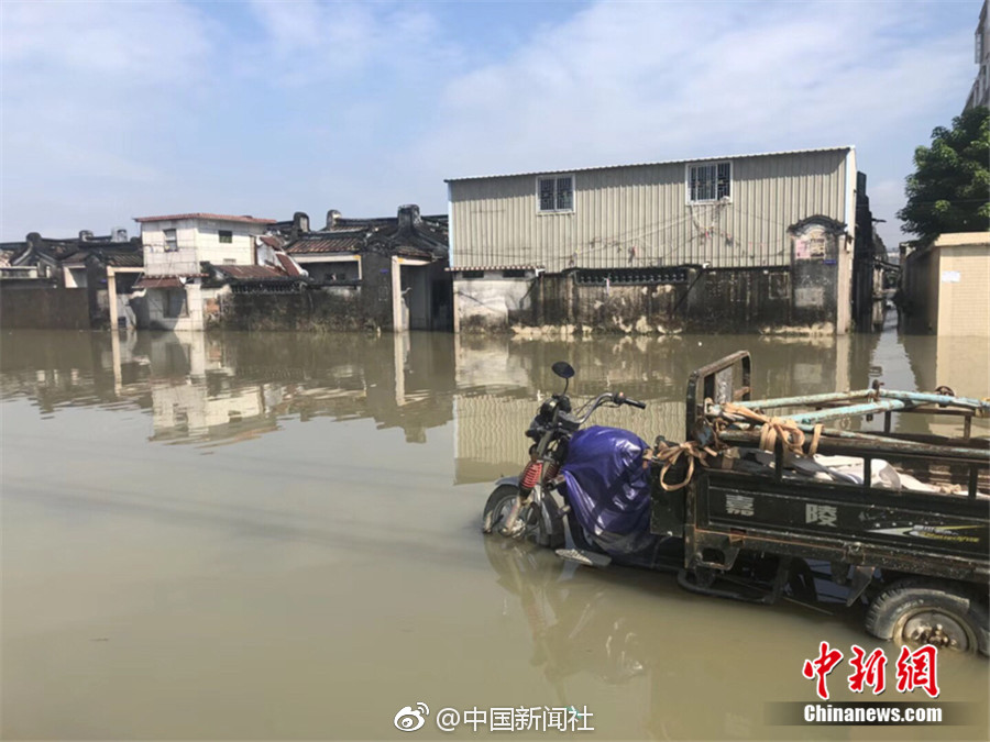 馇子怎么炒