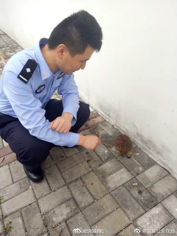 螃蟹绿色的膏可以吃吗