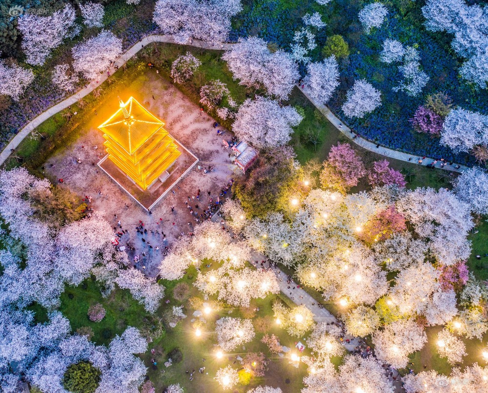 导管是什么意思梗