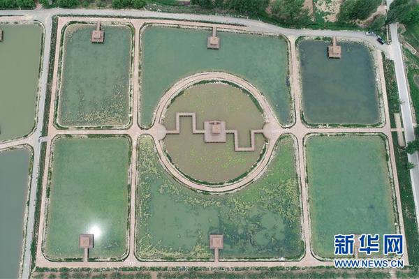 割双眼皮什么梗