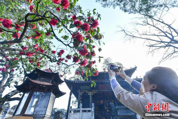 莲藕七孔和九孔的区别
