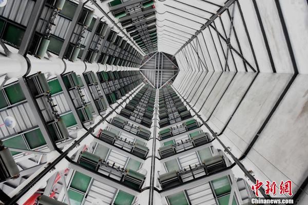 当然是选择原谅他是什么梗