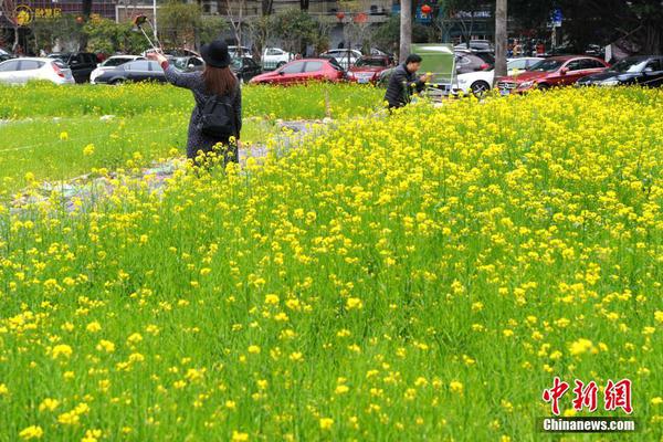 怎么样提高新陈代谢