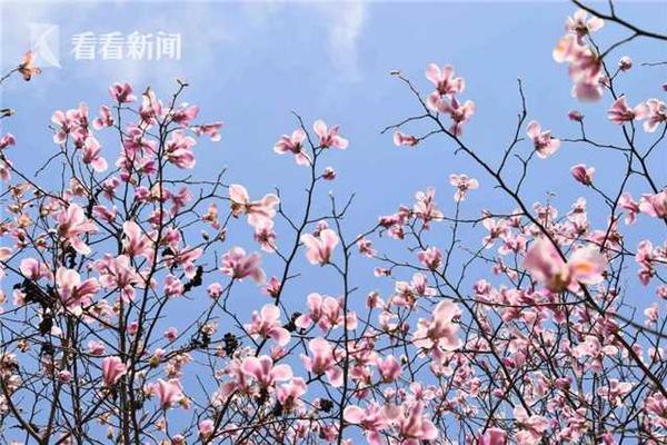大会邀请函模板
