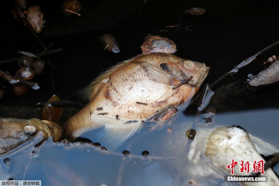 法外狂徒张三沃尔沃什么梗