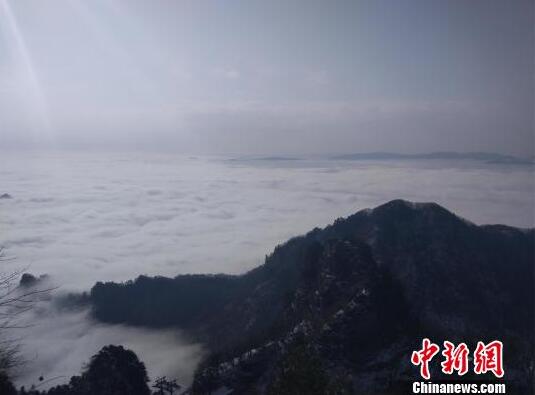 吃了没熟的螃蟹怎么办