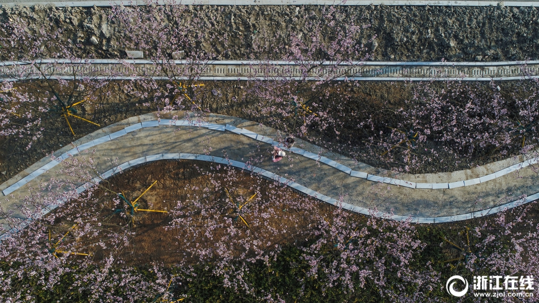 金龙寺在哪里