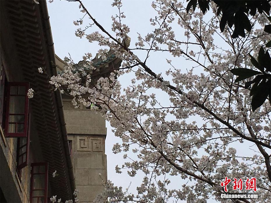 蜈蚣属于昆虫吗